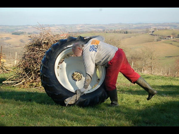 David Brown Sélectamatic 880 Roues et train AR (1)